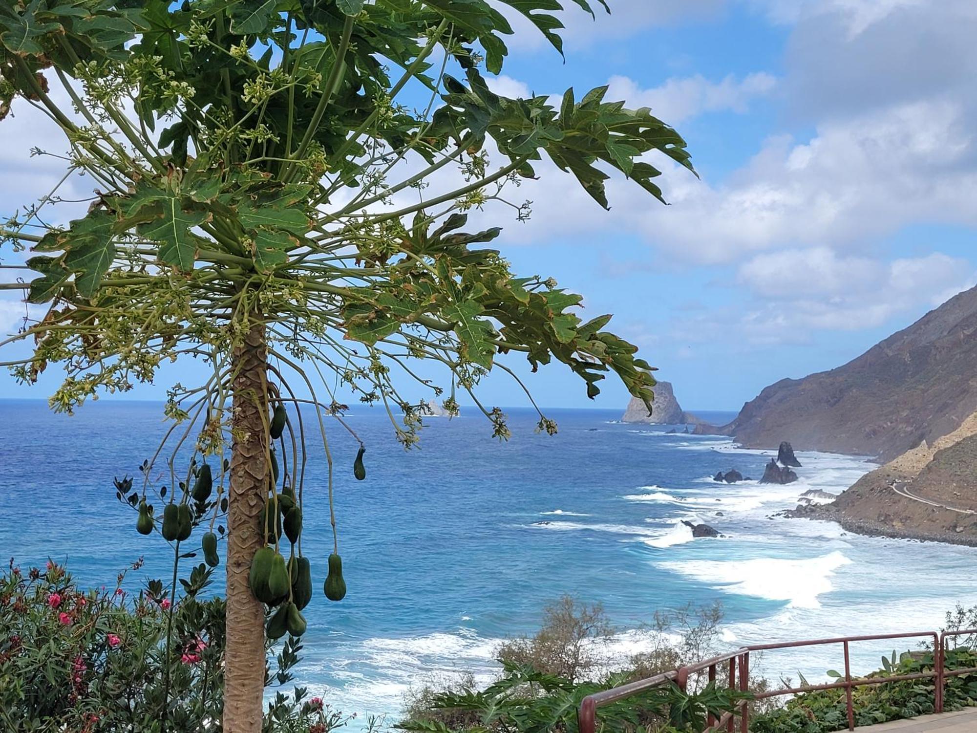 Casa Manolo Paraiso Beach Trail Альмасига Экстерьер фото